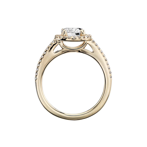 18k Yellow Gold Single Halo Classic Diamond Engagement Ring